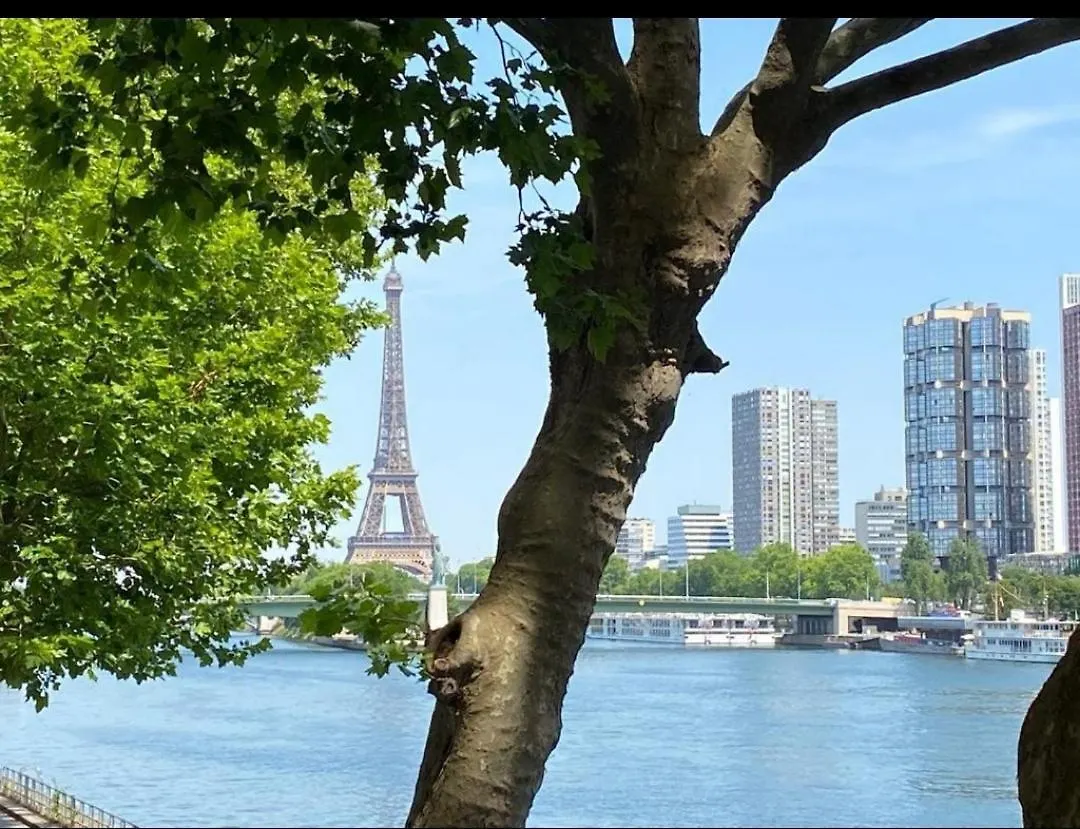 Paris Tour Eiffel Mirabeau Apartment